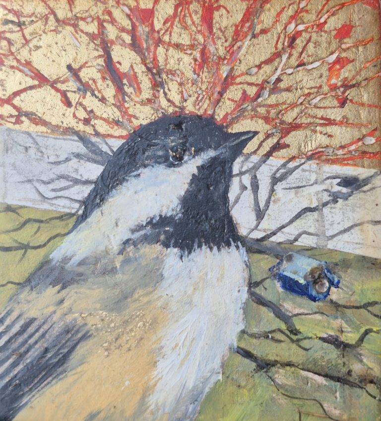 Black-Capped Chickadee