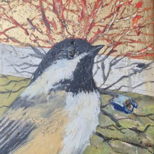 Black-Capped Chickadee