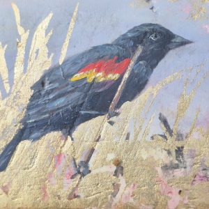 Red-Winged Blackbird