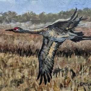 Sandhill Crane
