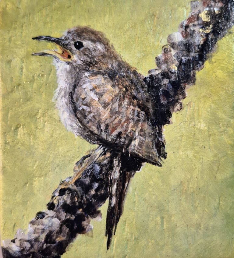 House Wren